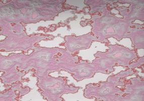 Natürliches Muster der rosa Marmorbeschaffenheit für Hintergrund, 3d foto