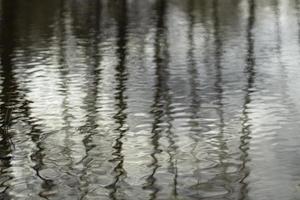 Wasser im Frühling. Wellen an der Oberfläche. Frühling Pfütze. Details der Natur. foto