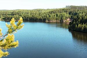 Schöne Aussicht auf den blau-türkisfarbenen See, die gelbgrünen Tannenzweige und den Wald am Ufer am Sommertag, Landschaft, Natur foto