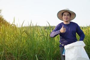 gutaussehender asiatischer Bauer ist auf einem Reisfeld, trägt Hut, hält weißen Sack mit organischem Dünger, Daumen hoch, selbstbewusst. konzept, landwirt zufrieden mit produkten für landwirtschaftliche kulturen. foto