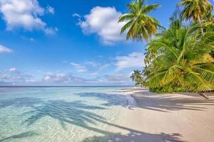 Sommerreisehintergrund. exotische tropische strandinsel, paradiesische küste. Palmen, weißer Sand, erstaunlicher Himmel, Ozean, Lagune. fantastisch schönes Naturpanorama, sonniger Tag idyllischer inspirierender Urlaub foto