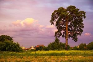 Tjumen, Russland. die rustikale landschaft mit bäumen und buntem himmel bei sonnenuntergang. foto