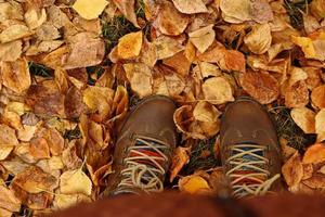 Draufsicht auf Frau bunte Schuhe auf einem Hintergrund von bunten trockenen Herbstblättern. foto