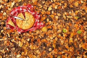 apfelkuchen auf dem rot karierten handtuch mit messer auf einem hintergrund von trockenen gelben herbstblättern, draufsicht. foto