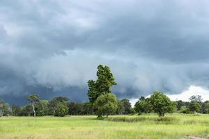 Regenwolken über Reisfeldern. foto