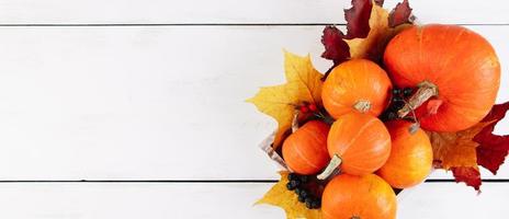 Herbsternte und Danksagung. Reife Kürbisse und gelbe Blätter auf weißem Hintergrund. Bannerformat. foto
