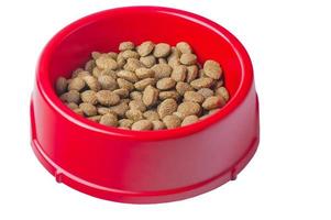 rundes Trockenfutter in einer roten Schüssel, isoliert auf weiss. ausgewogene Ernährung für Haustiere. foto