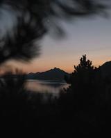 Silhouette von Bäumen und Sonnenuntergang. foto