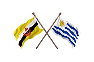 brunei gegen uruguay zwei länderflaggen foto