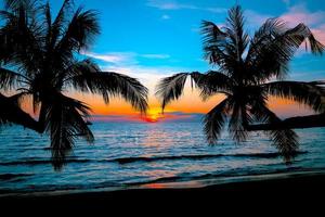 sonnenuntergang am tropischen seestrand mit silhouette des palmennaturhintergrundes foto