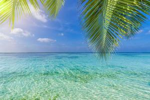 grüne blätter der palme über tropischem strand. Panoramablick auf die paradiesische Insel mit Blick auf die Meereslagune, entspannender Naturhintergrund mit türkisfarbenem Wasser. sonniges Panorama, exotisches Reiseziel der Sommerstrandlandschaft