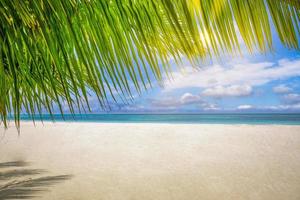 Panoramablick auf die Landschaft mit weißem Strand, Sand, Meerwasser und blauem Himmel, klarem Hintergrund. tropisches paradies banner, nahaufnahme palmblätter. Sommerreisehintergrund, Tapetenpanorama. sonnige Strandszene