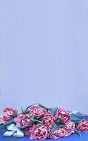 Lila Blütentulpen auf blauem Hintergrund mit Kopierraum. foto