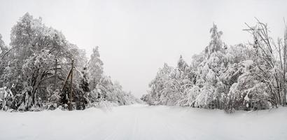 Landstraße, die an einem Wintertag von Schnee, Schneeverwehungen und einem schneebedeckten Wald an den Seiten geräumt wurde. herrliche Dorflandschaft. foto