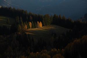 eine bezaubernde berglandschaft in den bucegi-bergen, karpaten, rumänien. Herbstnatur in Moeciu de Sus, Siebenbürgen foto