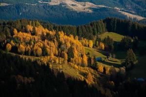 eine bezaubernde berglandschaft in den bucegi-bergen, karpaten, rumänien. Herbstnatur in Moeciu de Sus, Siebenbürgen foto