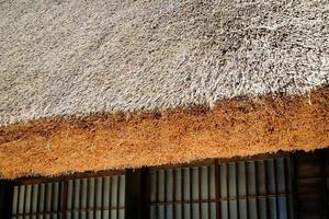shirakawa traditionelles und historisches japanisches dorf shirakawago im herbst. Hausbau aus Holz mit Dach im Gassho-Zukuri-Stil. shirakawa-go ist ein unesco-welterbe und ein wahrzeichen in japan.