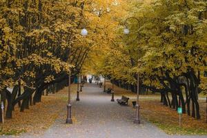 Minsk, Weißrussland. oktober 2020. zentraler eingang, gasse zum botanischen garten im herbst foto