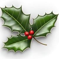 3D-Weihnachtsstechpalmenblatt auf isoliertem weißem Hintergrund. urlaub, feier, dezember, frohe weihnachten foto