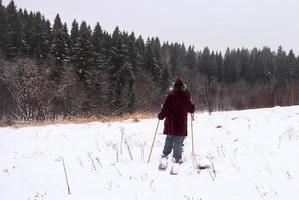 Skifahrer am Waldrand foto