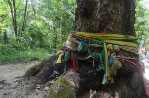 Drei Stofffarben, die an den glücksverheißenden Baum gebunden sind, sind gelb, grün und rosa. nach dem glauben, dass es heilige dinge gibt und der kultur der thailänder, die es schon lange gibt foto