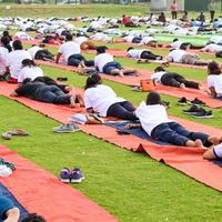 Gruppen-Yoga-Übungssitzung für Menschen verschiedener Altersgruppen im Cricket-Stadion in Delhi am internationalen Yoga-Tag, große Gruppe von Erwachsenen, die an Yoga-Sitzungen teilnehmen foto