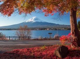 mt. Fuji und Herbstlaub am See Kawaguchi. foto