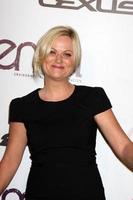 los angeles, 16. oktober - amy poehler kommt am 16. oktober 2010 in burbank, ca., bei den umweltmedienpreisen 2010 in den warner brothers studios an foto