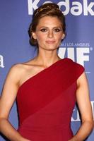 los angeles, 12. juni - stana katic kommt bei den crystal and lucy awards 2013 im beverly hilton hotel am 12. juni 2013 in beverly hills, ca foto