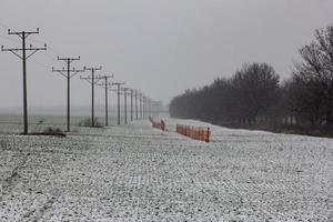 schutzbarriere vor schneespuren, landwirtschaft, agribusiness. foto