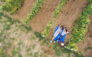 Picknick im Weinberg foto