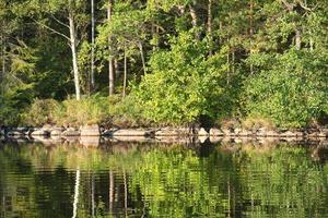 Steinfelsen mit Nadelbäumen am See in Schweden in Smalland. wilde Natur in Skandinavien foto