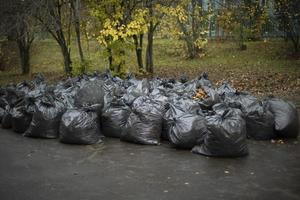 Putztag in Russland. viele Beutel mit Blättern. schwarze Müllsäcke. nach der Hofreinigung. foto