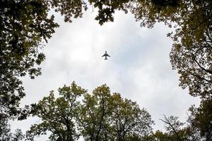 Flugzeug fliegt über Bäume foto