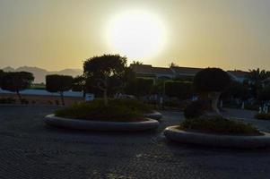 eine wunderschöne Landschaft mit runden Steinblumenbeeten zum Wachsen mit Bäumen und Blättern in einem tropischen exotischen Landresort, Ruhe und Sonne am Abend bei Sonnenuntergang foto