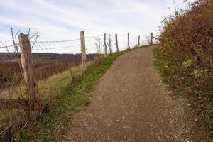 Pfad im Feld zum Himmel foto