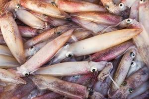 frischer Tintenfisch auf dem Markt foto