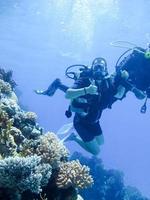 eine schöne taucherin zeigt hände gesten signal alles gut mit einem partnerausbilder für sicherheitsschwimmer unter wasser im roten meer mit korallenriffen ägypten, sharm el-sheikh foto