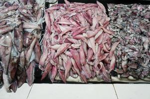 Nahaufnahme frischer Tintenfisch im Markt foto