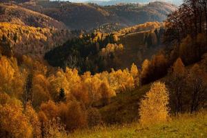 eine bezaubernde berglandschaft in den karpaten, rumänien. Herbstnatur in Brasov, Europa foto