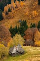 eine bezaubernde berglandschaft in den karpaten, rumänien. Herbstnatur in Brasov, Europa foto