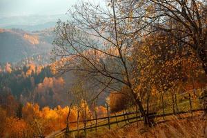 eine bezaubernde berglandschaft in den karpaten, rumänien. Herbstnatur in Brasov, Europa foto