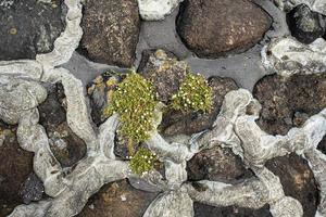 Damm aus Kopfsteinpflaster, verstärkt mit Zement vor Erosion durch Wasser. Platz kopieren. Ansicht von oben. Nahansicht. foto