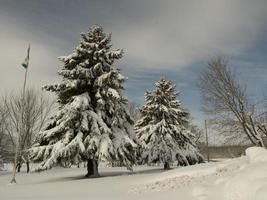 eine wunderschöne Winterlandschaft foto