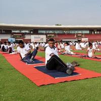 neu-delhi, indien, 21. juni 2022 - gruppen-yoga-übungssitzung für menschen im yamuna-sportkomplex in delhi am internationalen yoga-tag, große gruppe von erwachsenen, die an yoga-kursen im cricket-stadion teilnehmen foto