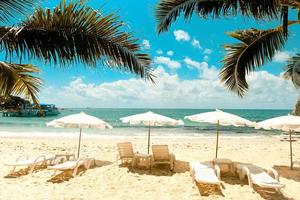 tropischen Urlaub Kokosnussblatt Palme am Strand mit Sonnenlicht auf blauem Himmel Meer und Ozean Hintergrund Sommerurlaub Natur reisen schöne Sommerlandschaft mit Stuhl Sonnenschirm auf Sand foto