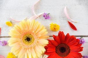 frische frühlingsblumen gerbera bunt und verschiedene blumen auf hölzernem weißem hintergrund foto