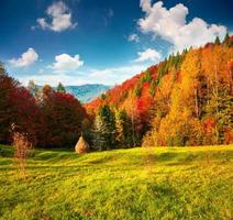 bunte Herbstlandschaft in den Karpaten foto