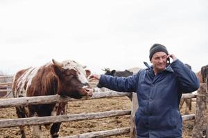 der Bauer telefoniert und streichelt den Stier. Geschäftsmann im Dorf. Viehzüchter foto