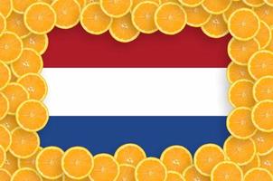 niederländische flagge im rahmen mit frischen zitrusfruchtscheiben foto